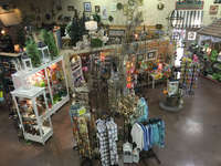 IMG_4808-200x170-60
